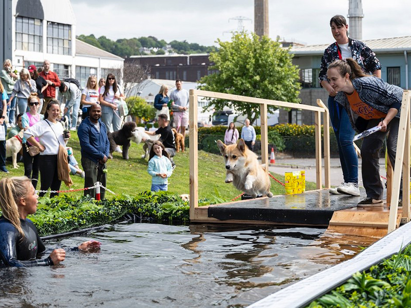Watery Fun in Cork