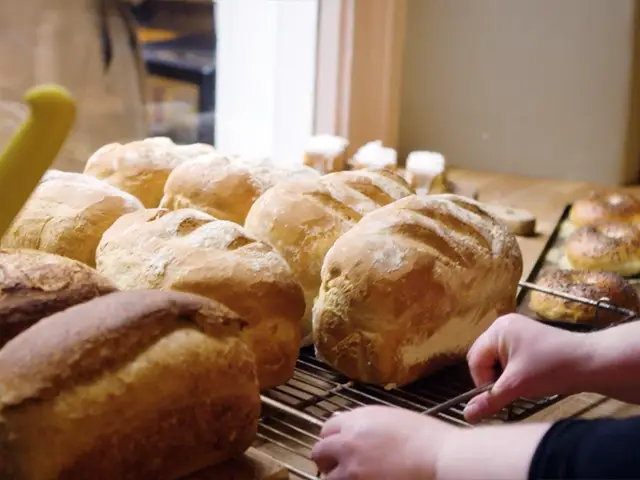 Fresh loaves of bread